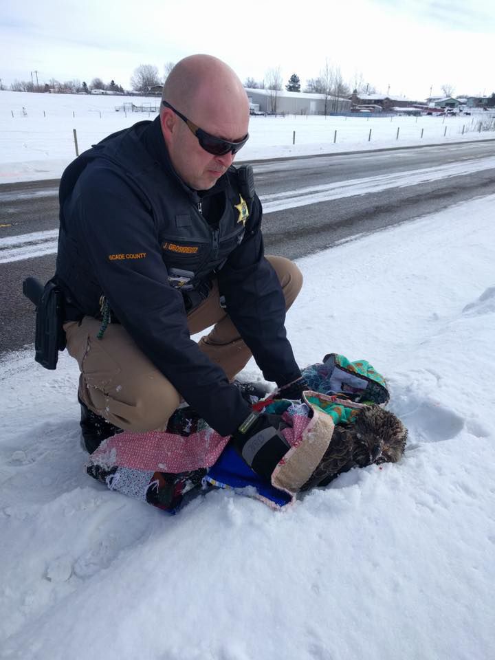 Deputy Groskreutz rescues eagle